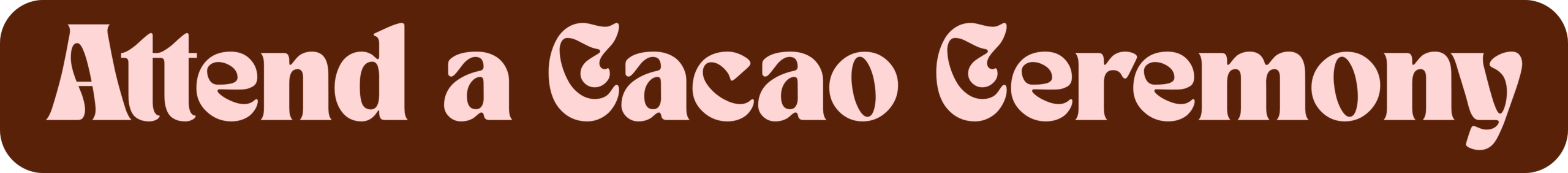 Attend a Cacao Ceremony